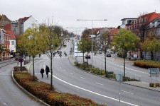 Traffic Island Edible Landscape / Oct-Nov (2012)