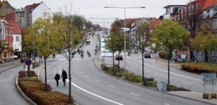 Traffic Island Edible Landscape / Oct-Nov (2012)